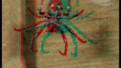 Animals anaglyph spiders 3d