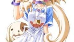 Animals Anime anime girls animal ears