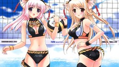 Animals Anime anime girls volleyball