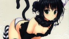 Animals anime girls green eyes nekomimi tails panties Simple 