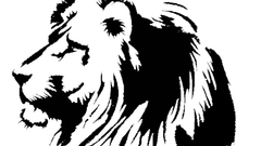 Animals artwork Lions