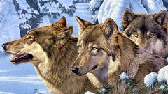Animals artwork Wolves