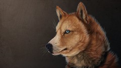 Animals artwork Zorro