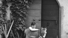 Animals Audrey Hepburn grayscale