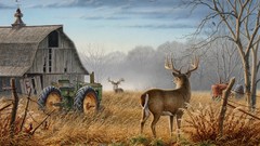 Animals autumn barn pheasant tractors artwork White Tail Deer