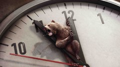 Animals Bears arrows clocks