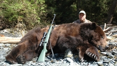 Animals Bears hunting