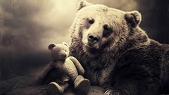 Animals Bears teddy bears