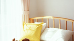 Animals beds Dogs pillows