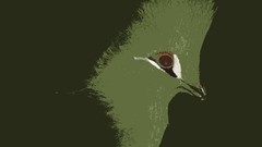 Animals Birds artwork