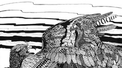 Animals Birds monochrome Eagles wildlife artwork