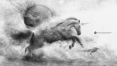 Animals Birds running unicorns artwork grayscale Desktopography 