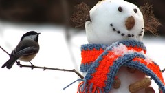 Animals Birds Snowmen