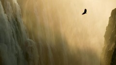 Animals Birds waterfalls macintosh scenic apple inc