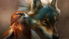 Animals Birds Wolves Eagles