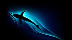 Animals black background Sharks glowing