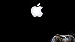 Animals black cats apples Technology Computers