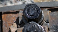 Animals black red Men white warning railroad tracks trains