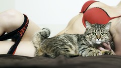 Animals black red woman cats Kittens lace lingerie piercings 