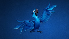 Animals blue Movies Birds feathers Rio