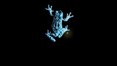 Animals blue patterns black background Fringe Frogs dots glowing