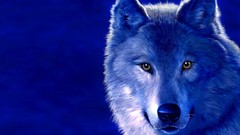 Animals blue Wolves digital art