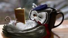 Animals Books creatures Owls fantasy art coffee cups