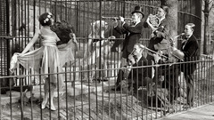 Animals brass band high