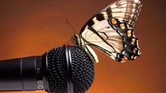 Animals Butterflies microphones