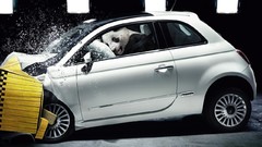 Animals cars crash test panda bears
