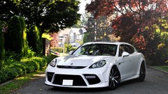 Animals cars Porsche Panamera