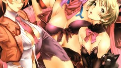 Animals cats Army glasses snakes dress tie hats military navel 