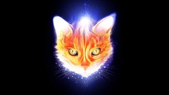 Animals cats black background lines glowing artwork digital art 