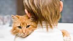 Animals cats children