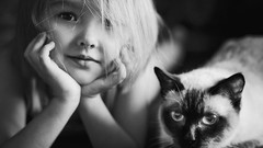 Animals cats children