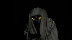 Animals cats creatures fantasy art