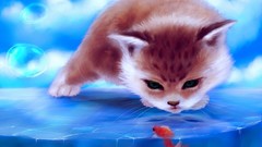Animals cats fish artwork