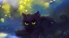 Animals cats fluffy painted apofiss