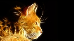 Animals cats Fractalius