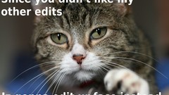 Animals cats funny fun-art