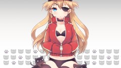 Animals cats gray background hats navel sitting stockings 