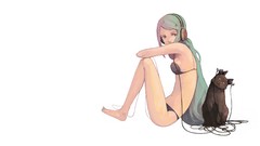 Animals cats headphones white background sitting long hair 