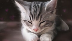 Animals cats Kittens artwork digital art
