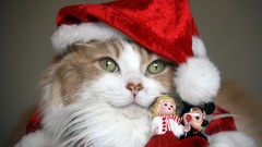 Animals cats new year figurines