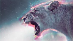 Animals cats puma colors Soul sparkle