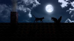 Animals cats roofs full moon chimneys