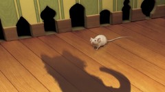 Animals cats shadows mice