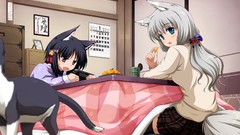 Animals cats skirts long hair anime girls blue eyes short hair 