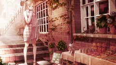 Animals cats windows Plants dress statues socks houses 