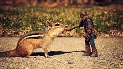 Animals chewbacca peanuts action figures chipmunks